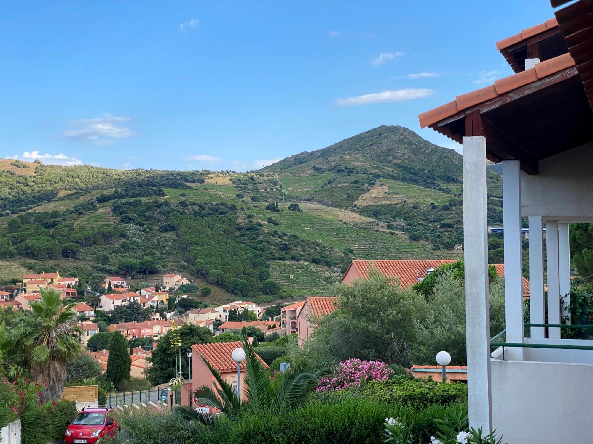 Charmant T4, Au Calme, Vue Mer, Parking Collioure Exterior foto
